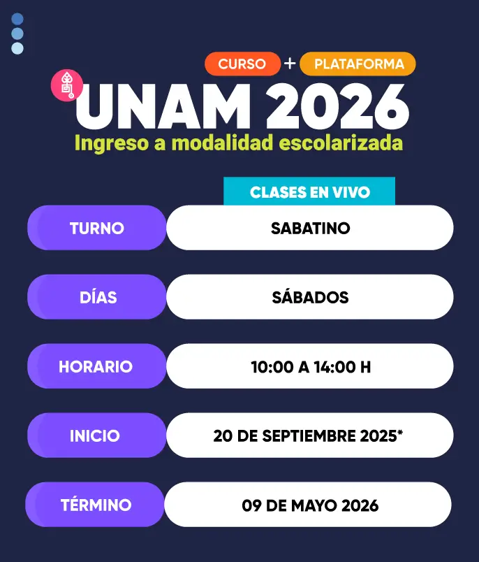 curso unam sabatino